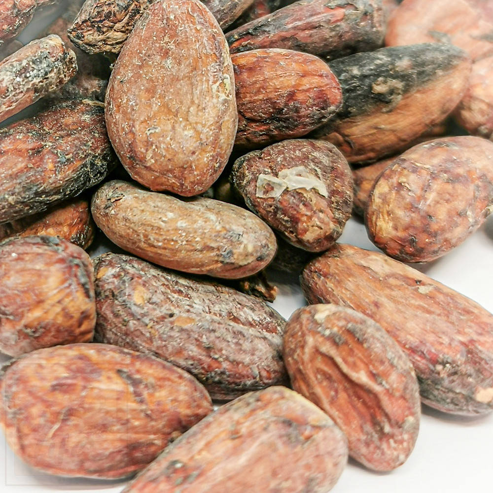 

Какао боби Кріолло (Criollo F2), Венесуела 1кг