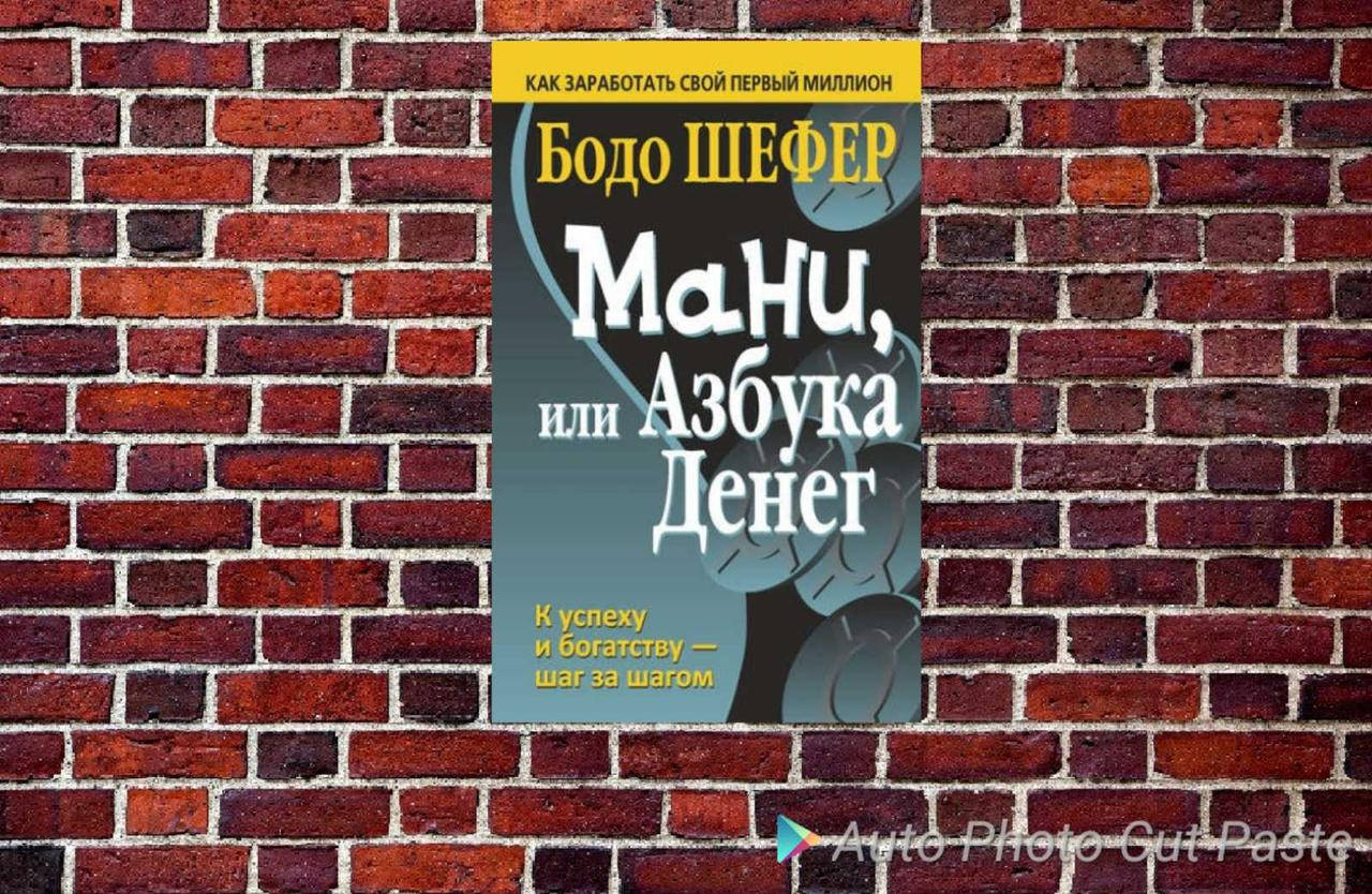 

Мани, или Азбука денег Бодо Шефер