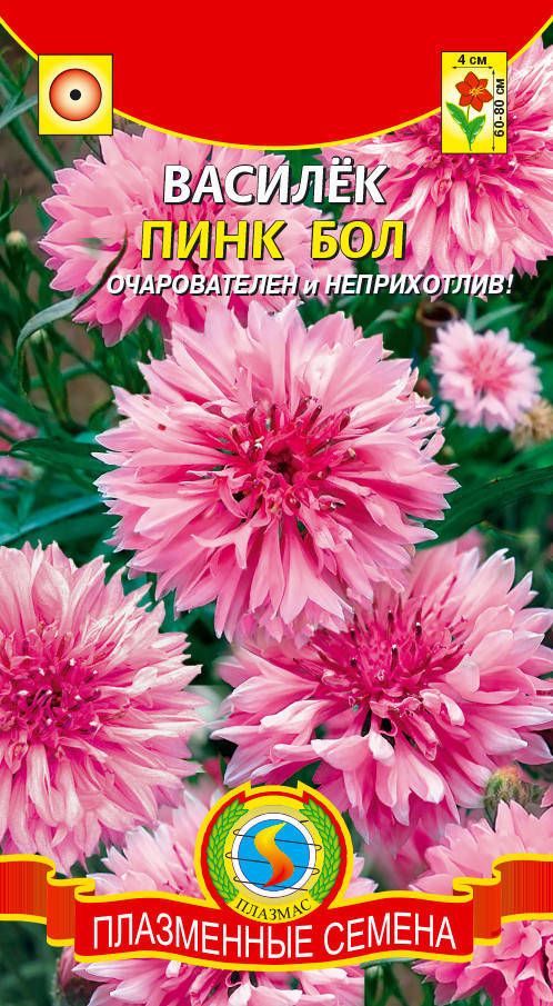 

Василек Пинк бол 0,5 г (Плазменные семена), Розовый