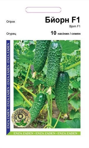 

Семена огурец Бйорн F1 10шт. Enza Zaden Голландия