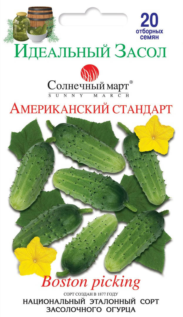

Огурец Американский стандарт, 20шт