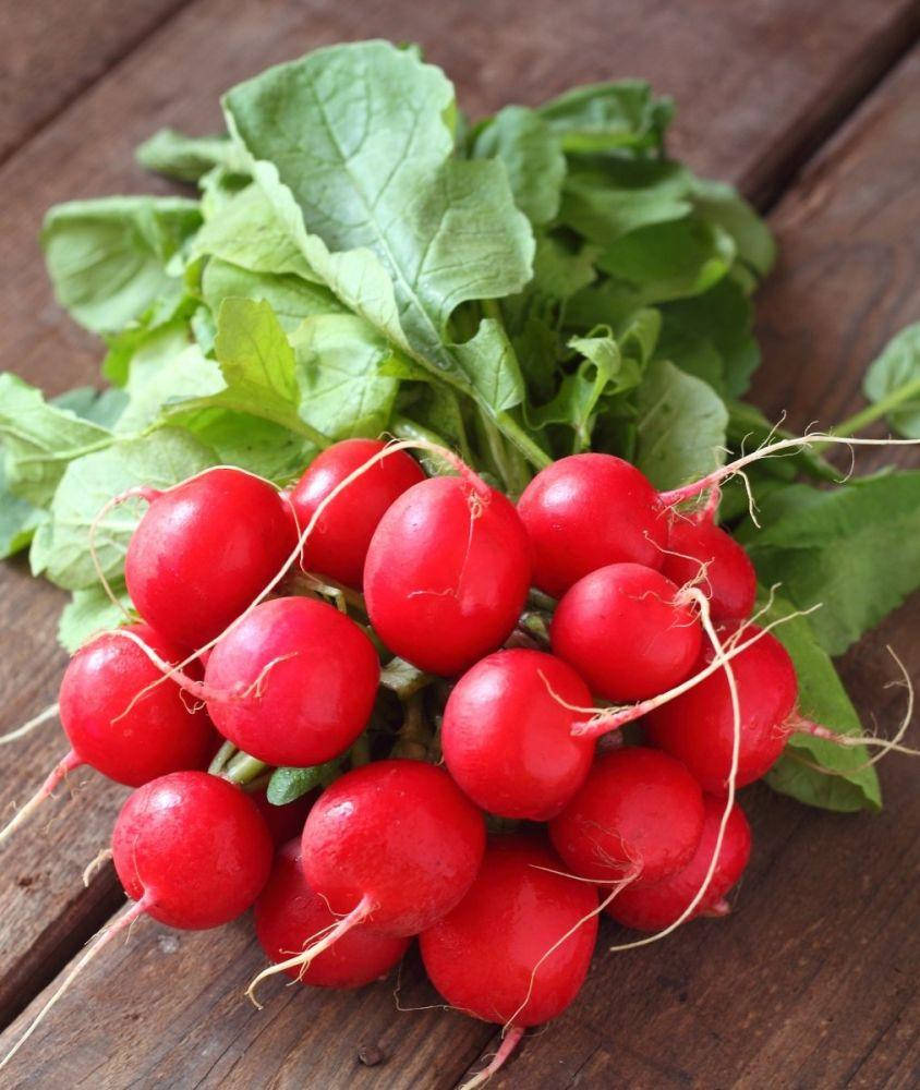 

Сора 10 г Leda Agro Редиска Насіння (Редис Семена)