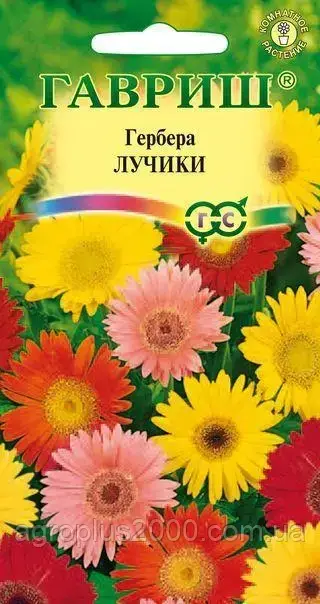 

Семена Гербера Лучики смесь 0,05 грамма Гавриш