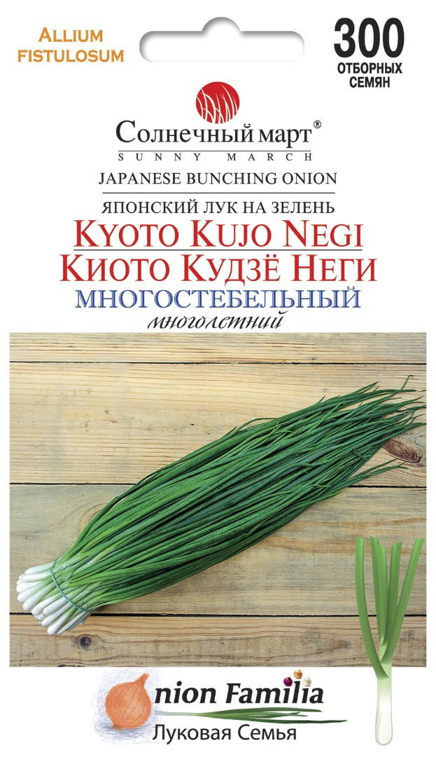 

Лук Киото кудзё Неги, 300шт.