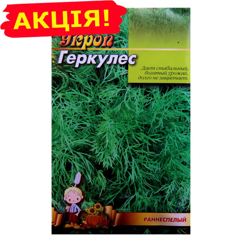

Укроп Геркулес семена, большой пакет 20 г