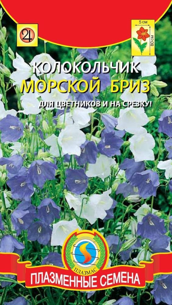 

Колокольчик персиколистный Морской бриз, смесь 0,1 г (Плазменные семена)