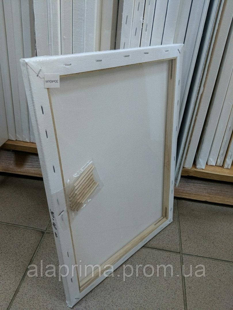 

Холст на подрам E5309 (25*35см) Хлопок D.K.ART