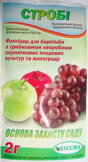 

Фунгицид Строби 2 грамма BASF Вассма Ритейл