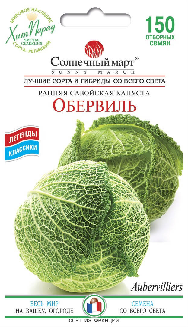 

Капуста Обервиль, 150шт.