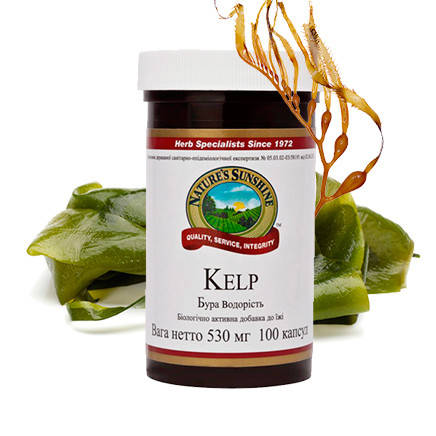 

Келп Бурая водоросль НСП капсулы Kelp ламинария морская капуста природный йод нормализация функции щитовидки