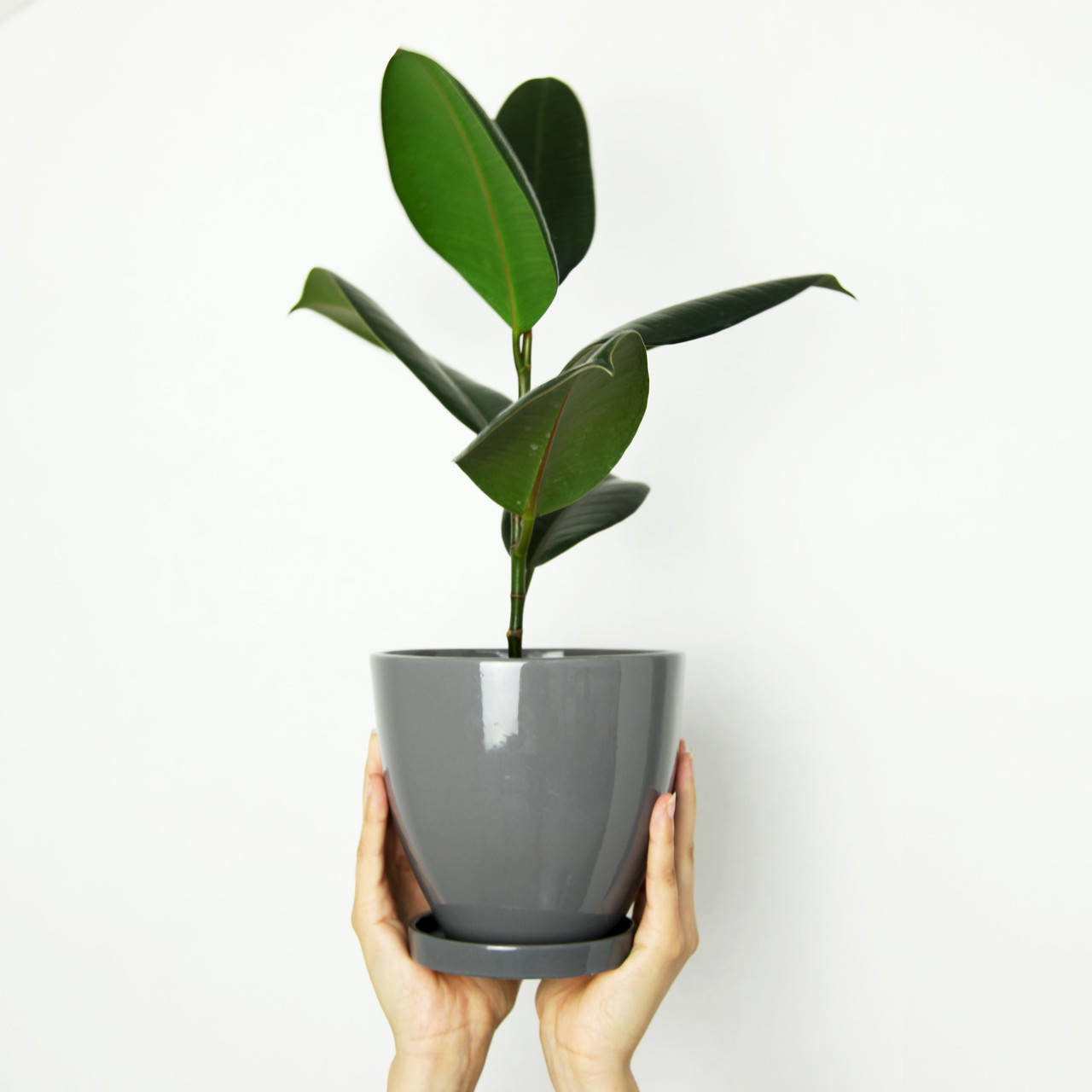 

Горшок керамический для цветов "Конус" 1.3л Rezon Серый P032