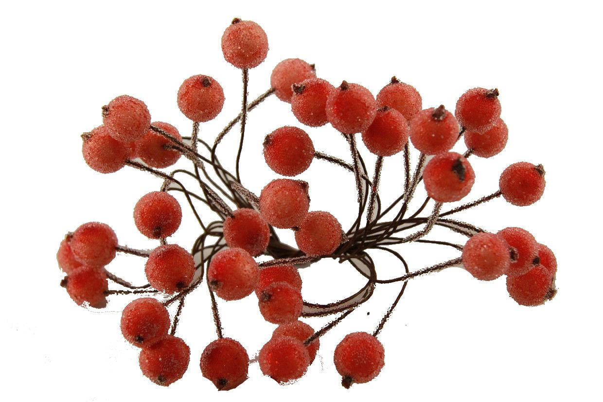 

Калина сахарная оранж однотонная