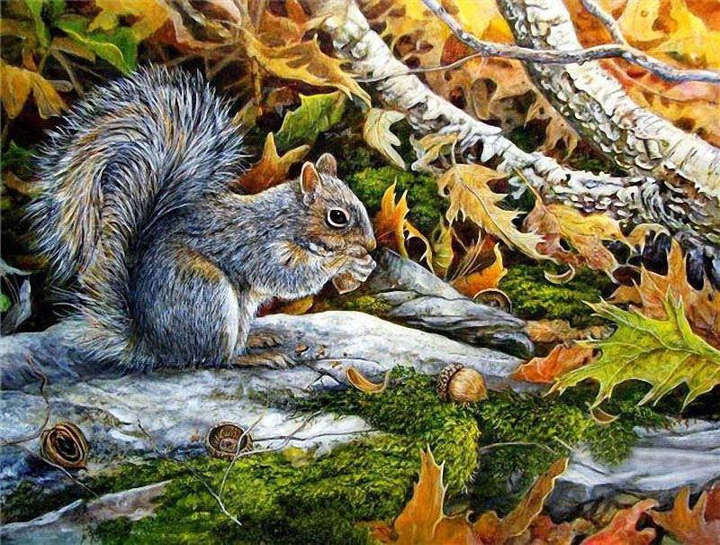 

Алмазная мозаика - Запасливая белка 30x40