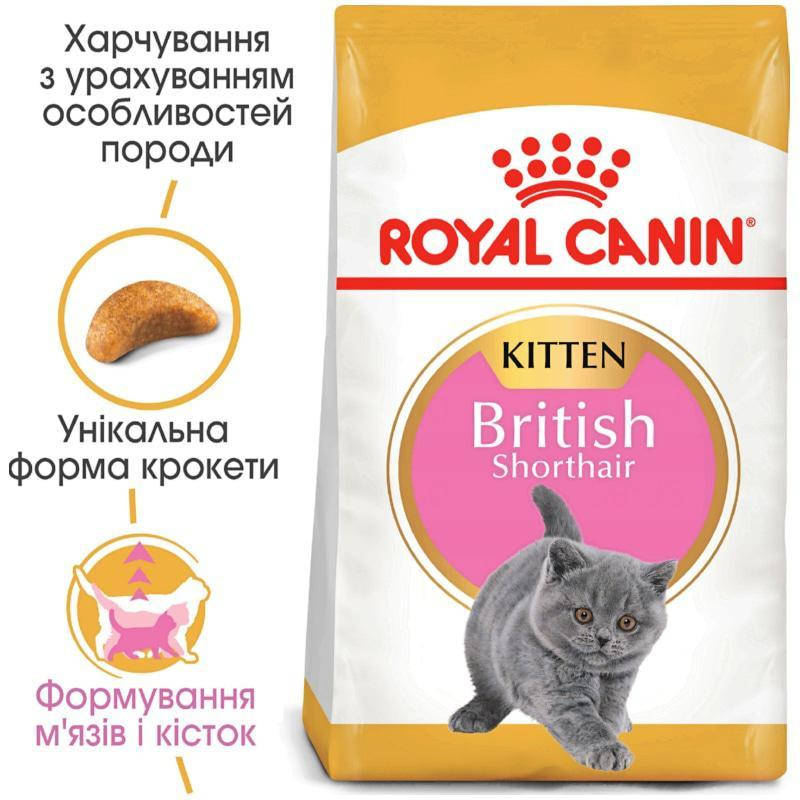 

Сухий корм для кошенят Royal Canin Kitten British Shorthair 10 кг (3182550816540)