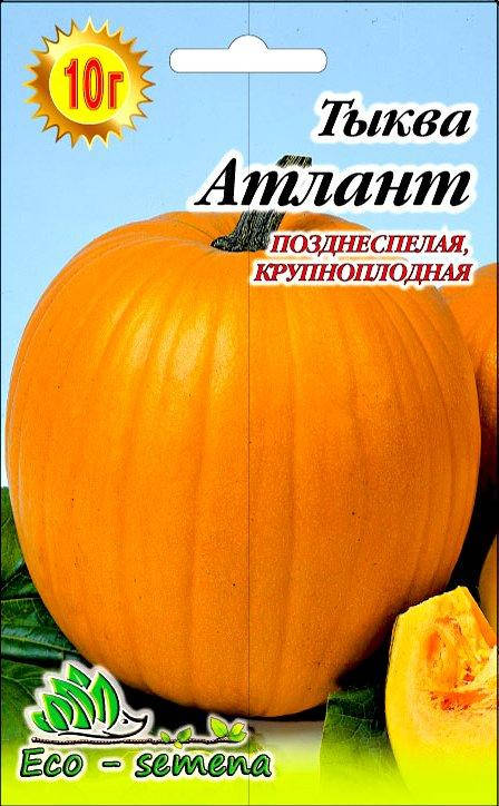 

Семена Тыква Атлант 10 г