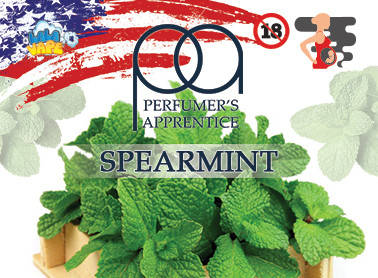 

Spearmint ароматизатор TPA (Мята) 50мл