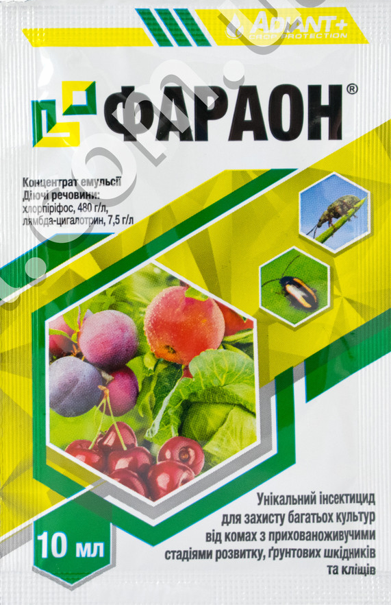 

Фараон к.е., 10 мл