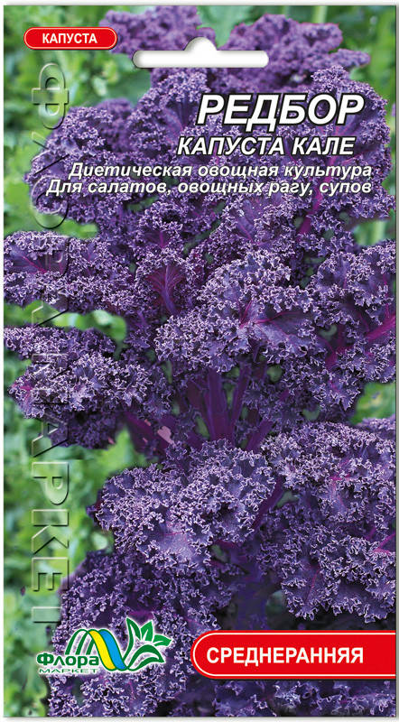 

Семена капуста листовая Кале Редбор 0.5г Флора маркет