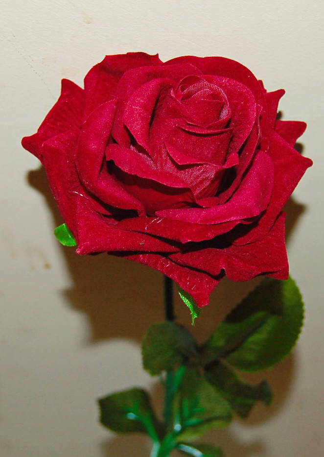 

М-467 Роза одиночная "Королева ночи" 10х65 см