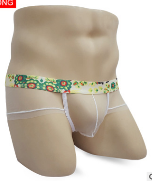 

Мужские трусы Брифы Tropic сетка White (XL), Белый