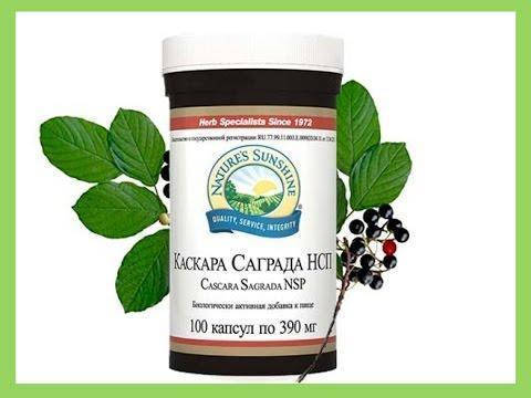 

Каскара Саграда NSP. Каскара Саграда НСП. Кора жостера слабительное НСП. НАТУРАЛЬНАЯ БИОДОБАВКА