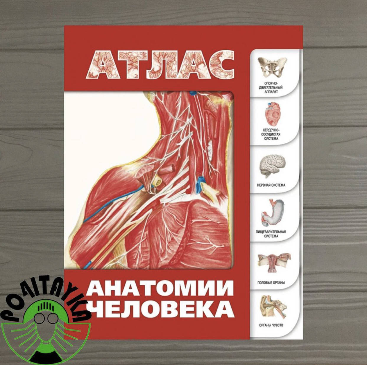 

Лёвкин С.С. АТЛАС АНАТОМИИ ЧЕЛОВЕКА