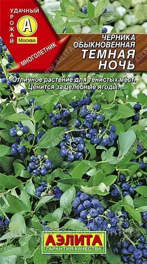 

Семена Черника обыкновенная Темная Ночь 0,01 грамма Аэлита