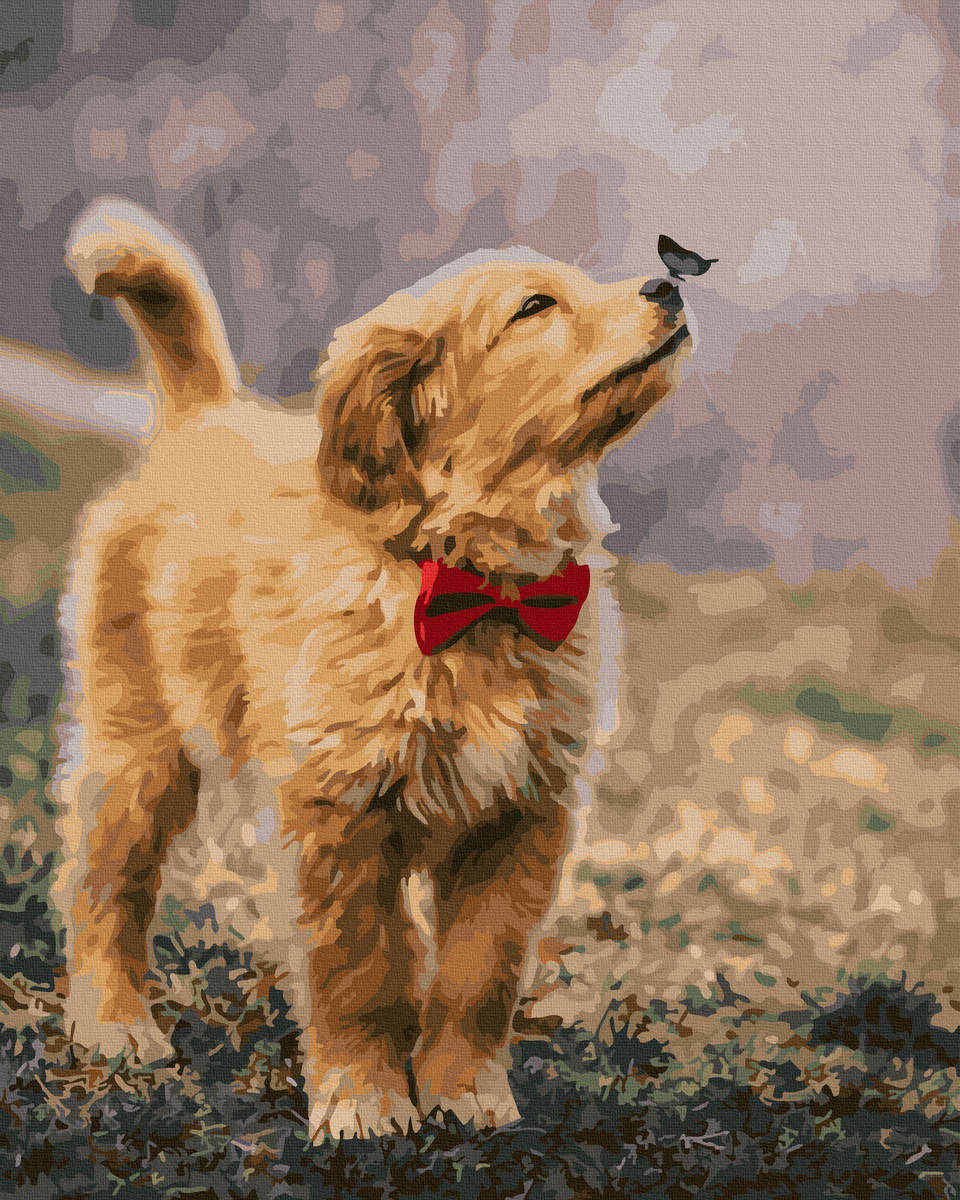 

Картина по номерах "Играющая собачка" GX43099