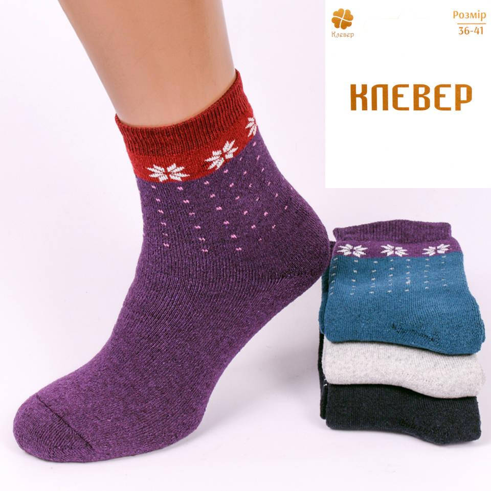 

Носки женские махровые Клевер ВМ40. Упаковка 12 пар. Размер 36-41