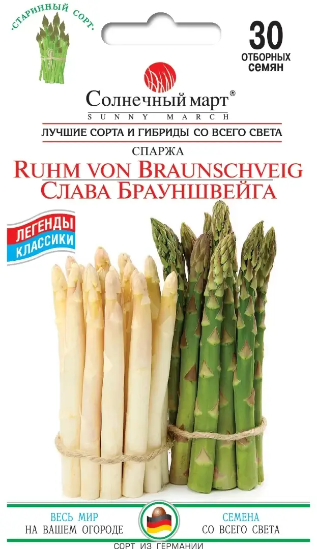 

Слава Брауншвейга Спаржа