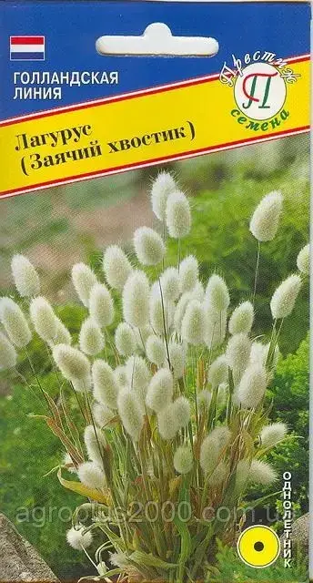 

Семена Лагурус Заячий Хвостик 10 семян Престиж, Белый