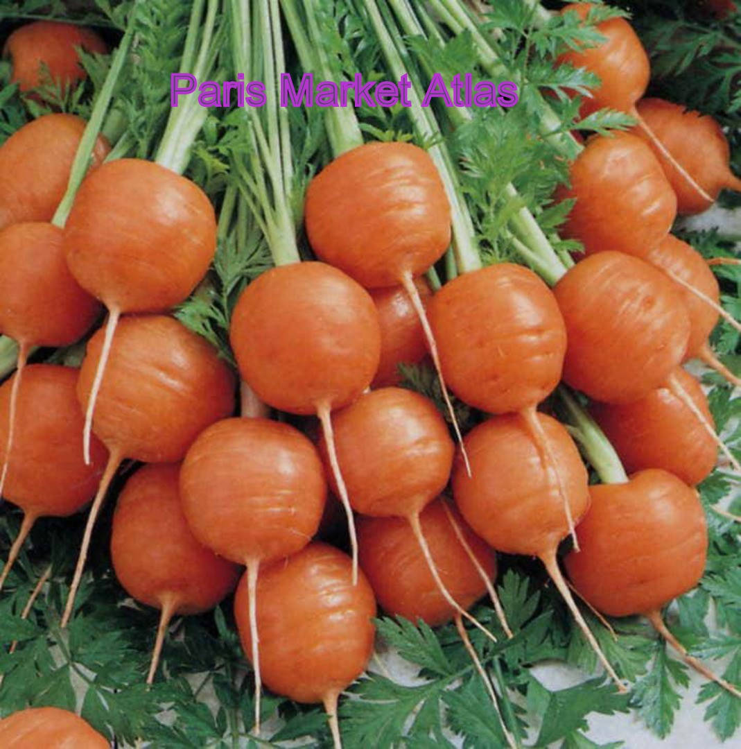 

Сладкая Морковь Париж