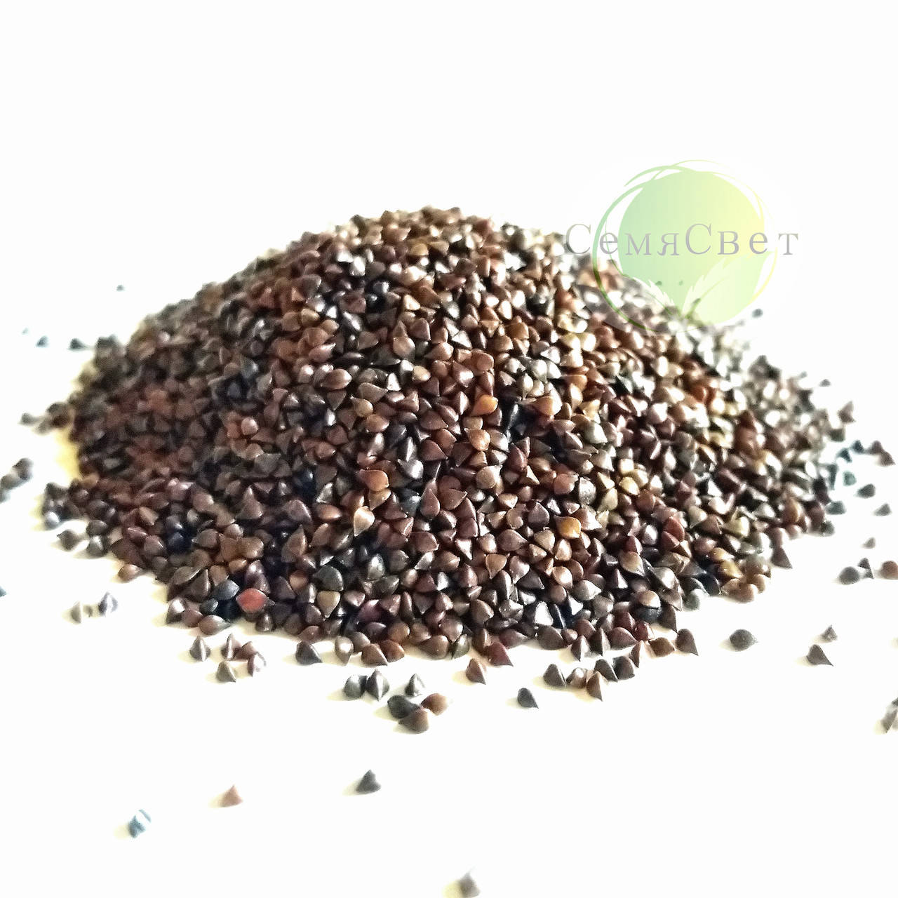 

Семена щавля кровавая Мэри бэби лист