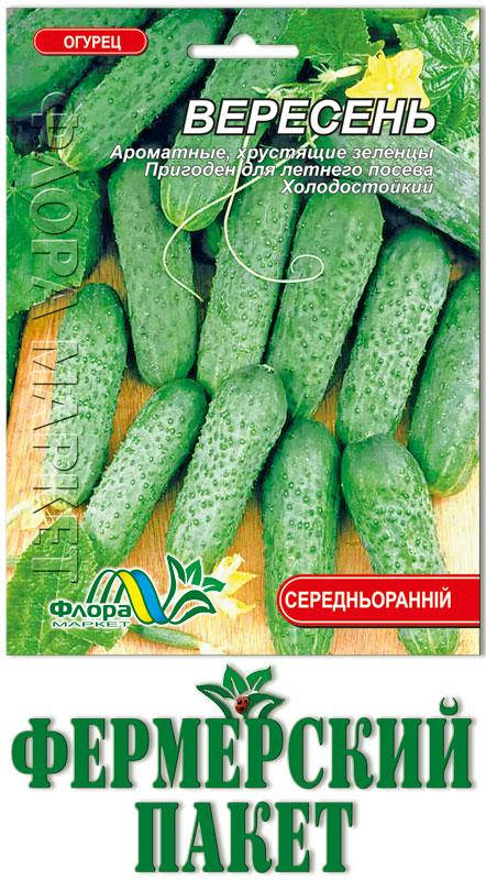 

Огурец Вересень (большой пакет)
