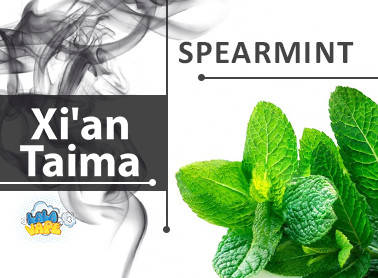 

Ароматизатор Xi'an Taima Spearmint (Мята) 10мл