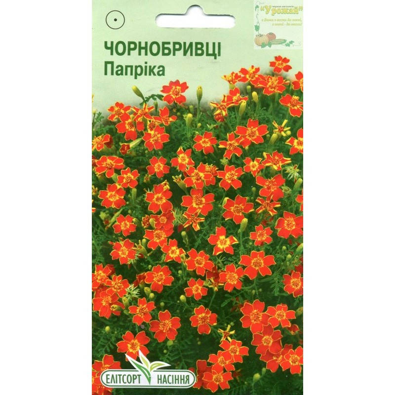 

Семена цветы Бархатцы Паприка, 0,1 г