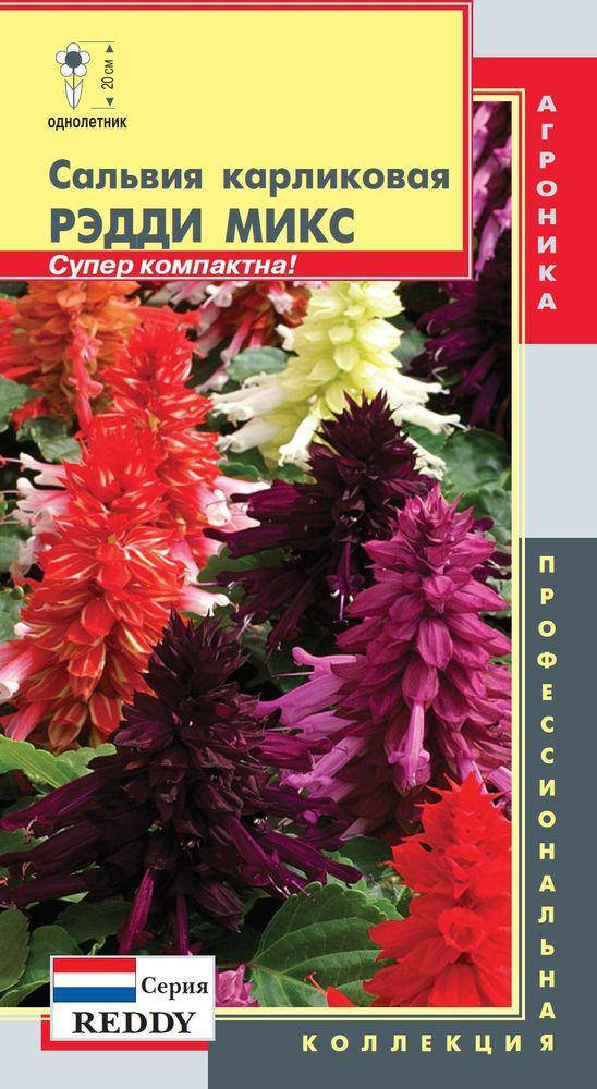 

Сальвия карликовая Рэдди Микс 10 шт (Плазменные семена)