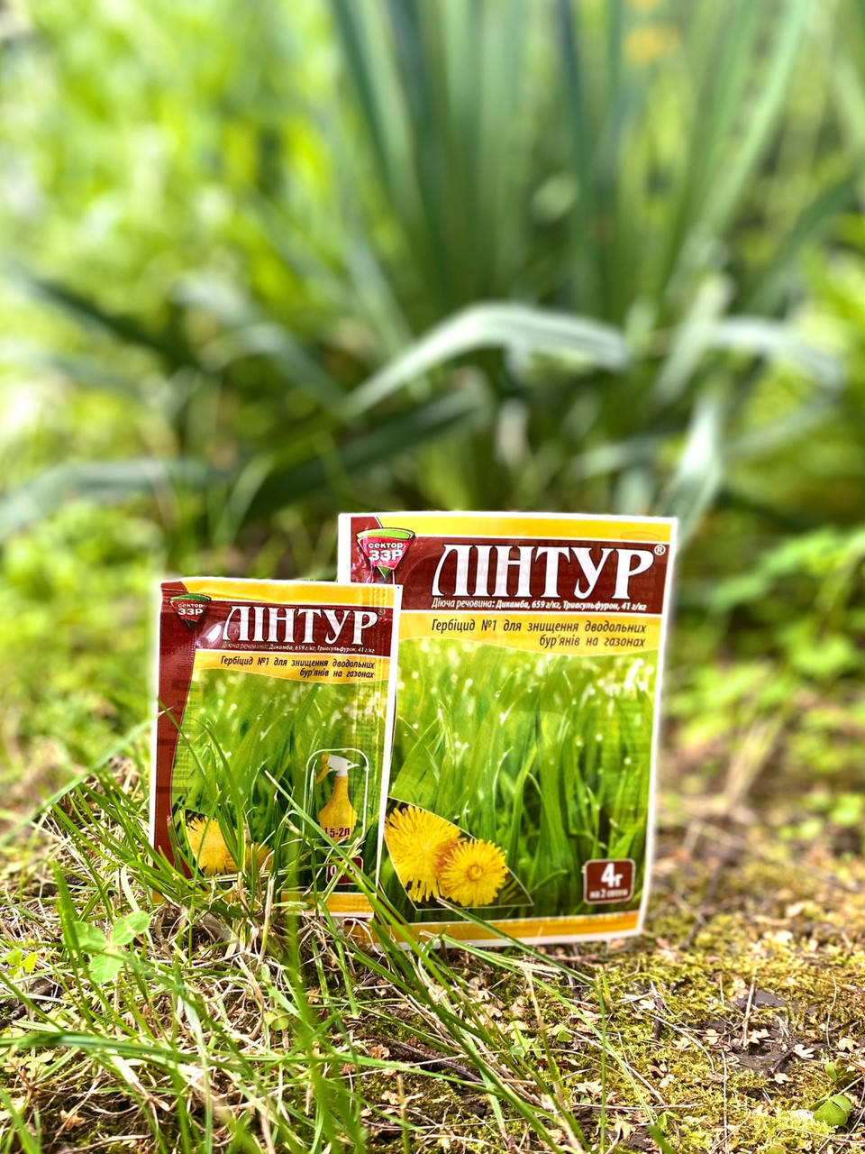 

Линтур 4г