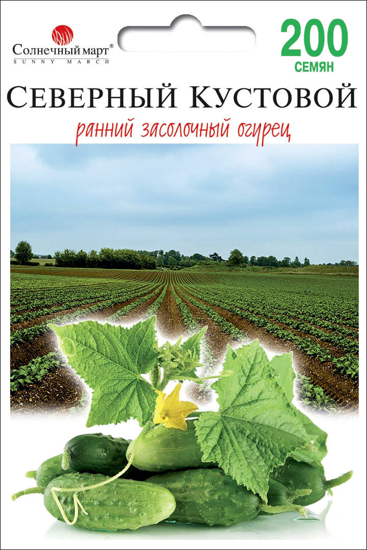 

Солнечный март. Семена Огурец Северный кустовой F1, 200 шт