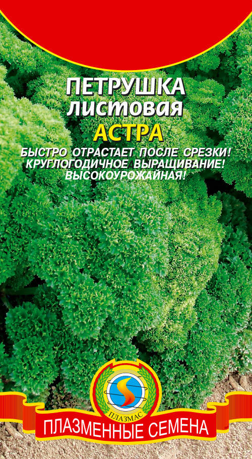

Петрушка Астра 2 г (Плазменные семена)