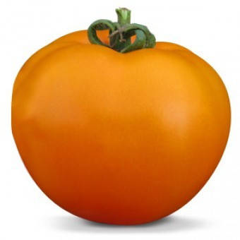 

СеменаТомат детерминантный Айсан (KS 18) F1, 100 семян Kitano Seeds