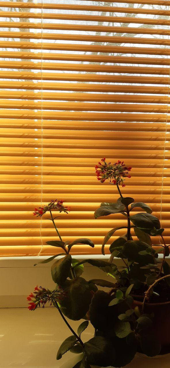 

Жалюзи горизонтальные алюминиевые 25мм, цветные, Разные цвета