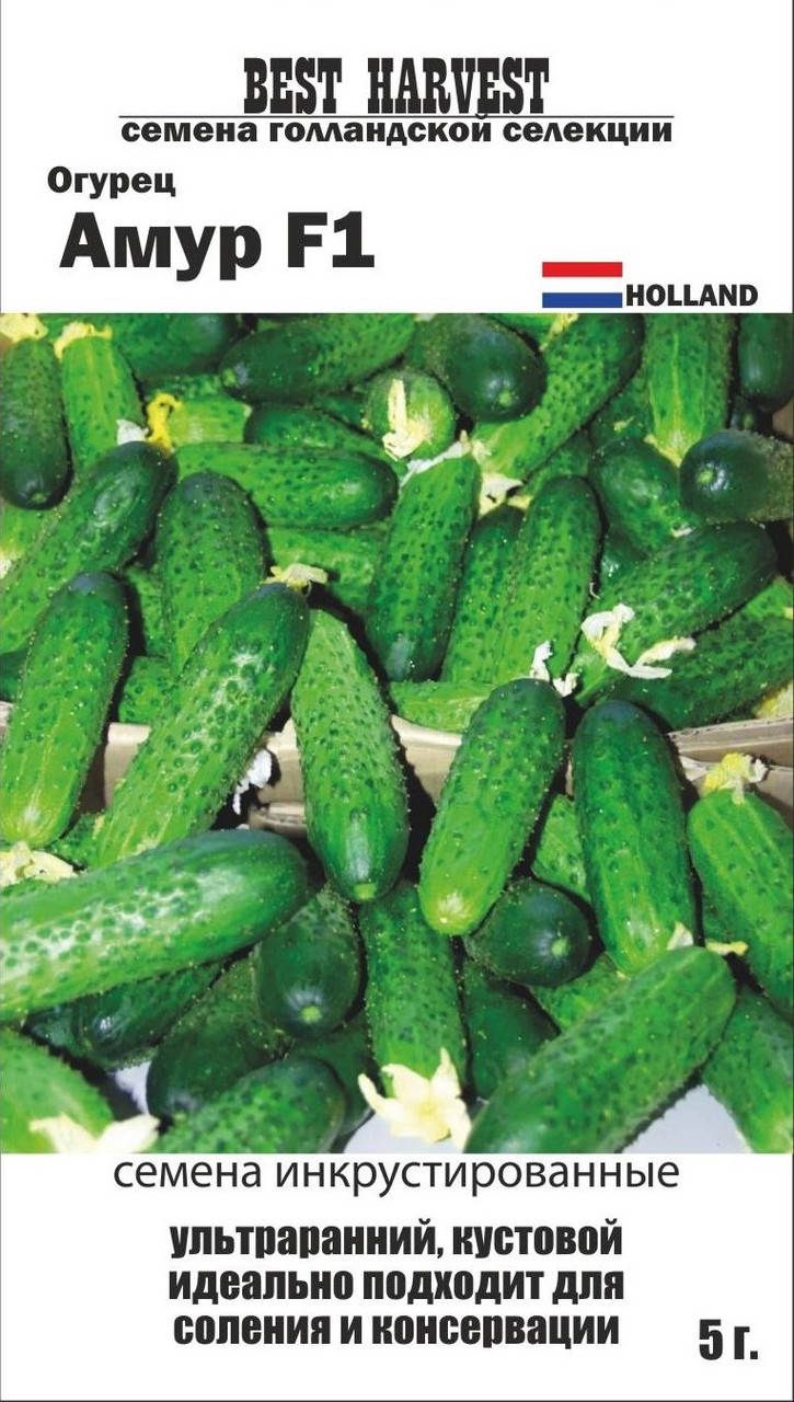 

Семена огурца "Амур F1" инкрустированные 5 г.
