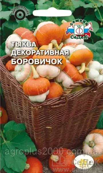 

Семена Тыква декоративная Боровичок 0,25 грамма Седек
