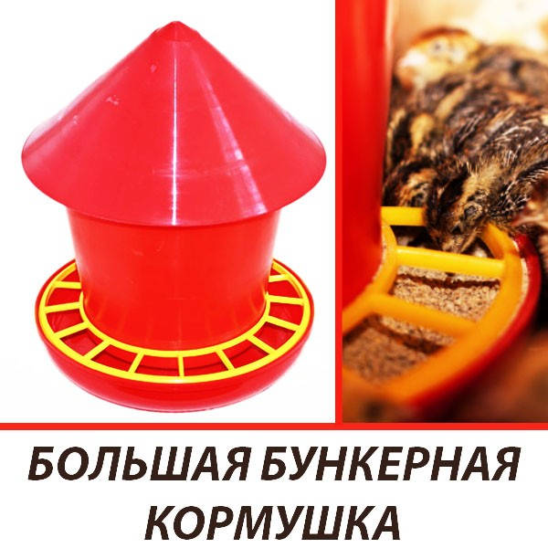 

Бункерная кормушка для недельных перепелов (перепелят, бройлеров, цыплят)