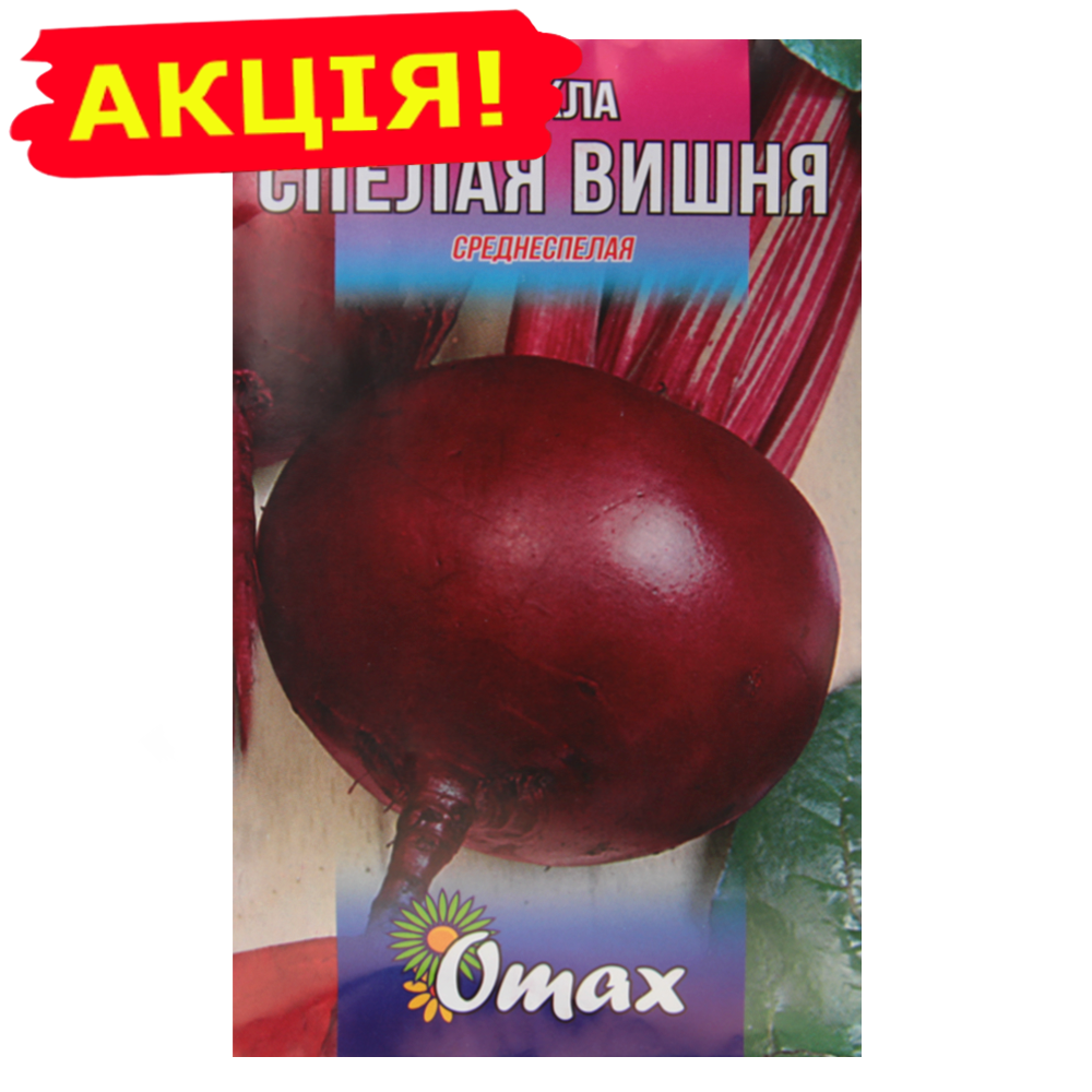 Вишня Семена Купить