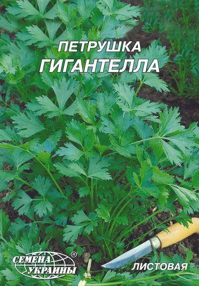 

Петрушка Гігантелла 20г (ТМ Семена Украины)