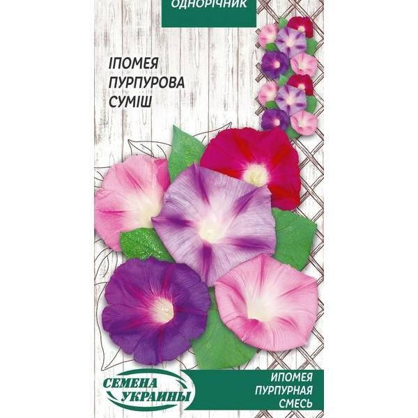 

Ипомея Пурпурная смесь 1г (10пачек) ТМ СЕМЕНА УКРАИНЫ
