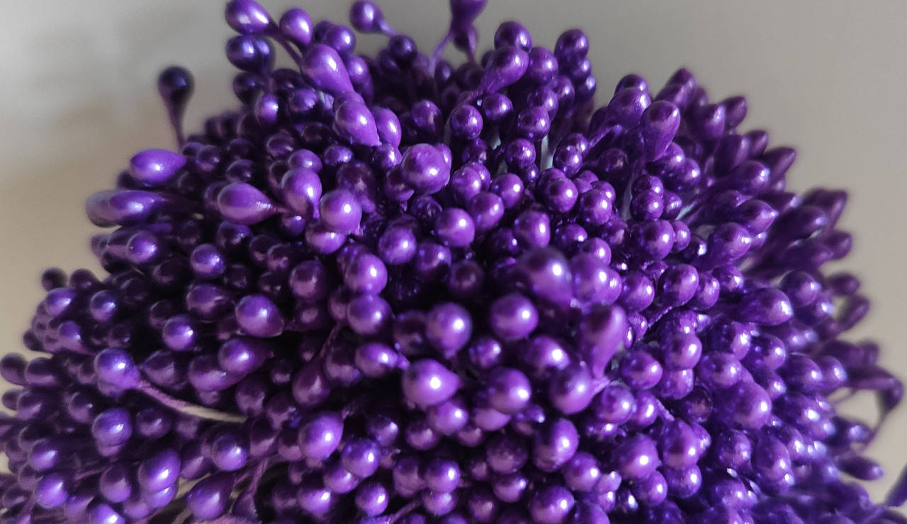 

Тычинки ,фиолетовые , набор 50 ниток (100 головок )