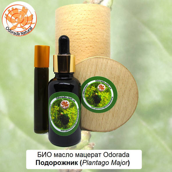 

Био косметическое масло мацерат Подорожник Odorada